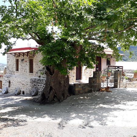 Traditional House Koukounara Kíssamos Exterior foto